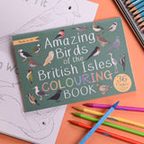 Button & Squirt - Amazing Birds of the British Isles Colouring Book