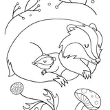 Bookspeed - My First Colouring Book: Scottish Animals