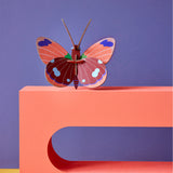 Studio Roof - Delias Butterfly