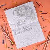 Button & Squirt - Amazing Animals Set One Colouring Book