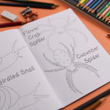 Button & Squirt - Amazing British Bugs Colouring Book