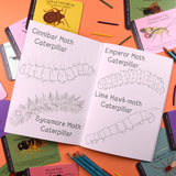 Button & Squirt - Amazing British Bugs Colouring Book