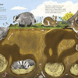 Bookspeed - HEDGEHOGS HARES/ BRITISH ANIMALS (NATURE STICKER BOOK)