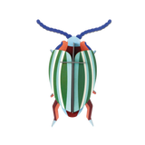 Studio Roof - Rainbow Leaf Beetle