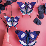 Studio Roof - Swallowtail Butterflies - Set of 3