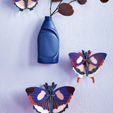 Studio Roof - Swallowtail Butterflies - Set of 3